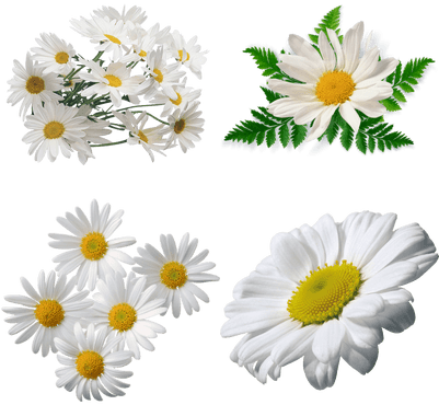 Patanjali Dant Kanti Junior Dantal Cream Toothpaste (400x400), Png Download