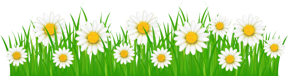 Hvac Tips The First Day Of Spring - Grass With Flowers Png (1024x279), Png Download