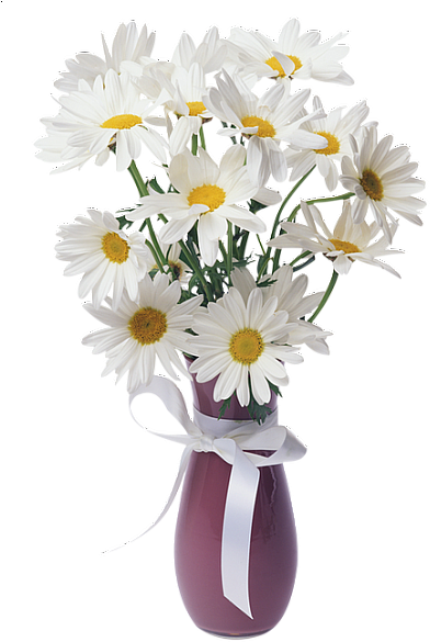 Flower Vase Png Transparent (407x600), Png Download
