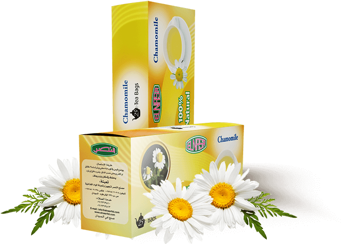 Spaglo Beauty Vital Silk Serum (750x763), Png Download