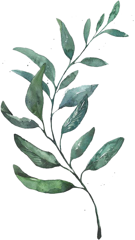 Watercolor Painting Leaf Printmaking - Watercolor Leaves Png (600x865), Png Download