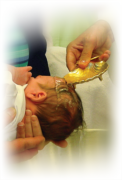 Parishioners Wishing To Have A Child Baptized Should - St Luke The Evangelist Catholic Church (400x587), Png Download