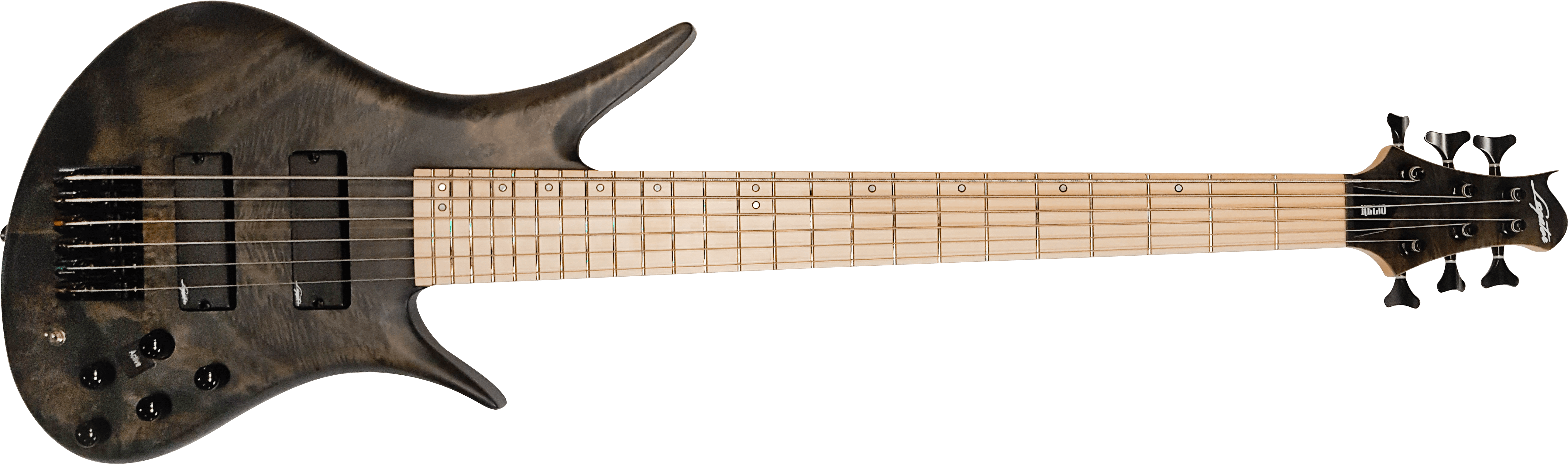 Helio Bass 300 Pro Series 6 String - Bass Guitar (5229x1685), Png Download