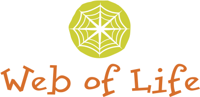 Web Of Life - Web Of Life Png (450x347), Png Download
