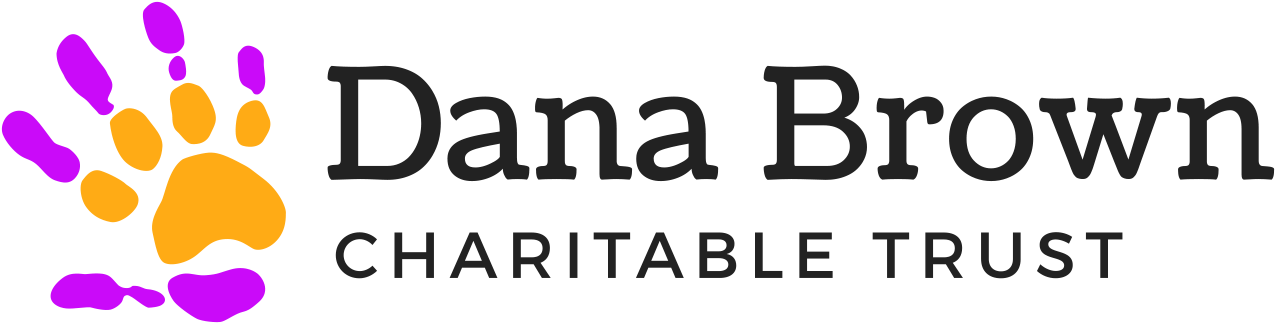 Dana Brown Charitable Trust - Graphic Design (1500x548), Png Download