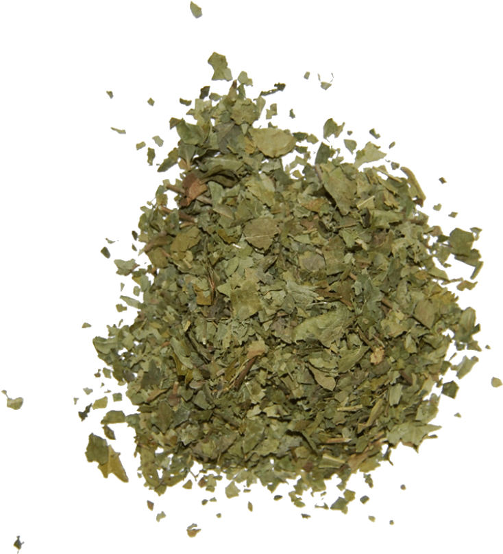 Curry Leaf - Portable Network Graphics (1024x1024), Png Download