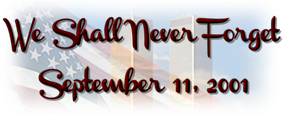 Toyhypeusa Honors The 9-11 Victims - We Shall Never Forget 9 11 (580x232), Png Download