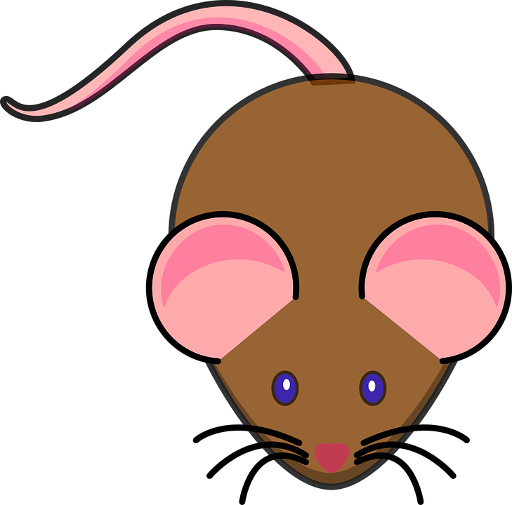 Svg Black And White Download Mice Clipart 3 Mouse - Animated Picture Of A Mouse (729x720), Png Download