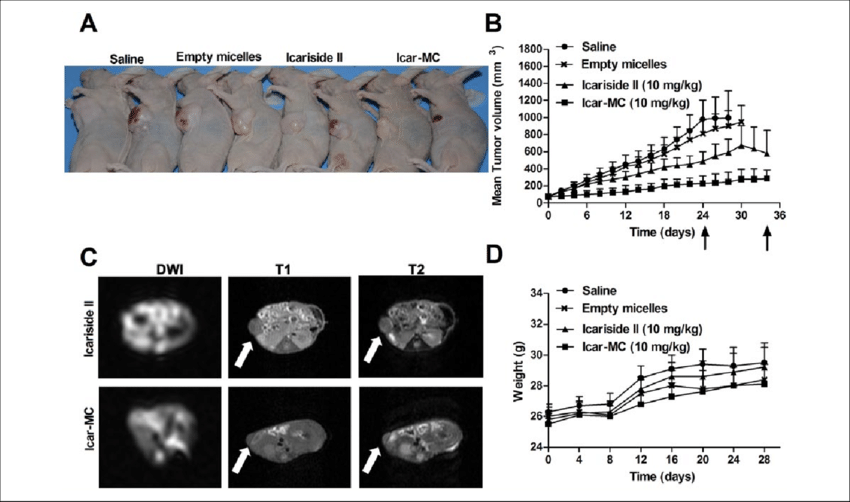 Mice With Representative Tumor Xenografts Are Shown - Therapy (850x502), Png Download