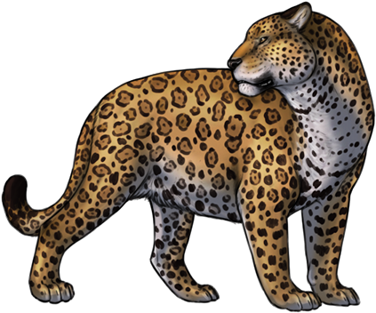 Jaguar Png Cliparts - Jaguar Png (471x405), Png Download