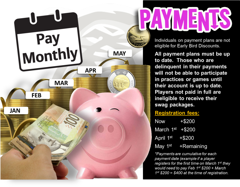 Individuals On Payment - Domestic Pig (1024x802), Png Download
