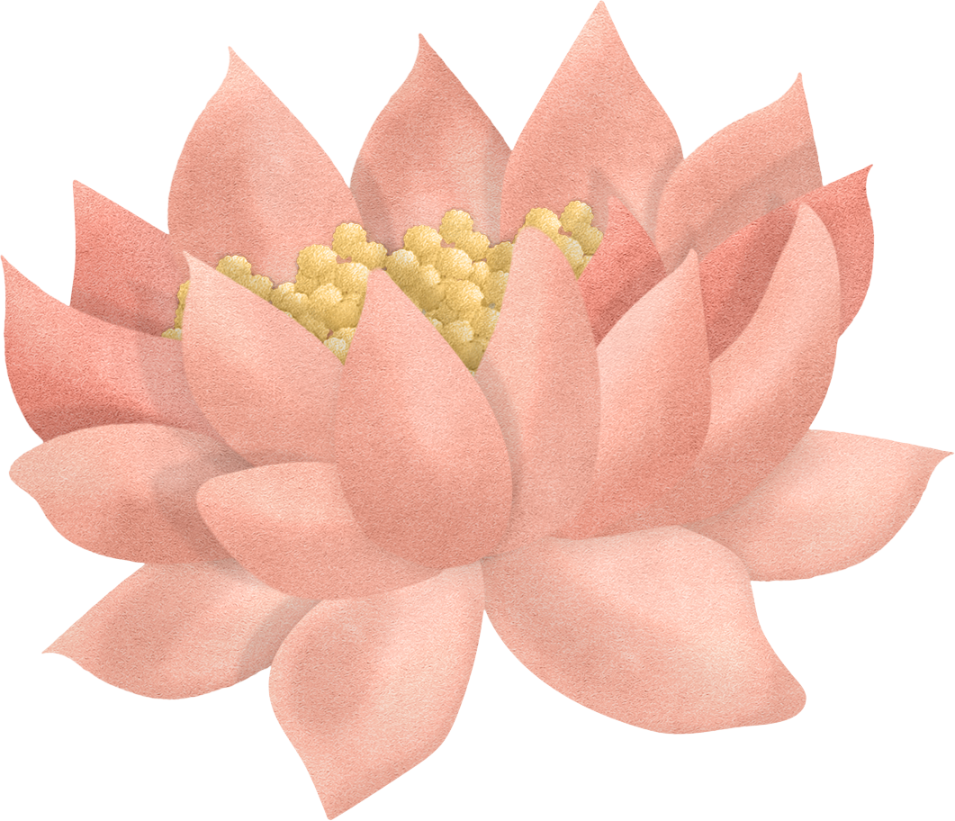 Leaf 2 - Echeveria (1061x912), Png Download