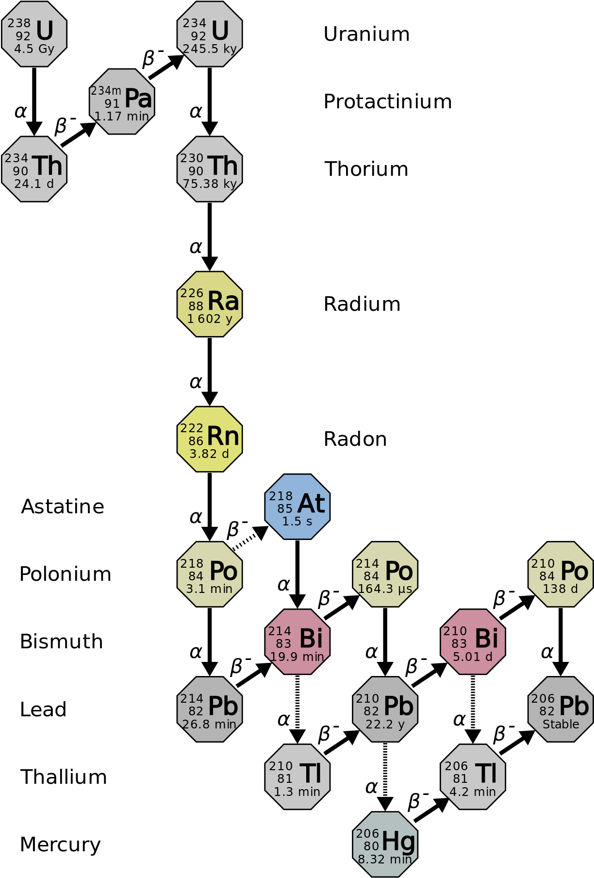 Figure 17 - 3 - 3 - Uranium 238 Decay Chain - Image - Lead To Gold Decay Chain (490x690), Png Download
