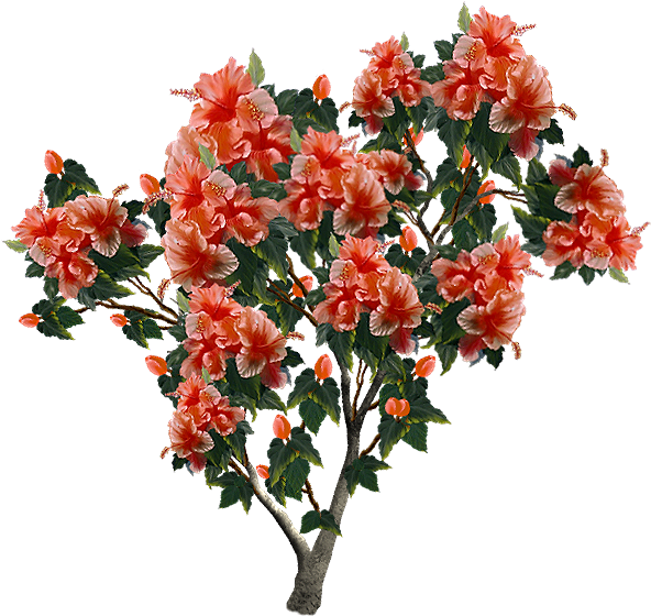 Photo Flor-preciosa - Bouquet (625x590), Png Download