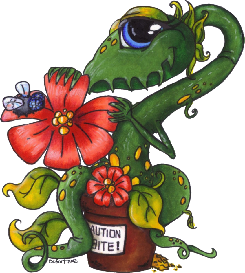 Shy Venus Fly Trap Lines By Jadedragonne By Vinpip - Beautiful Venus Fly Trap (846x943), Png Download