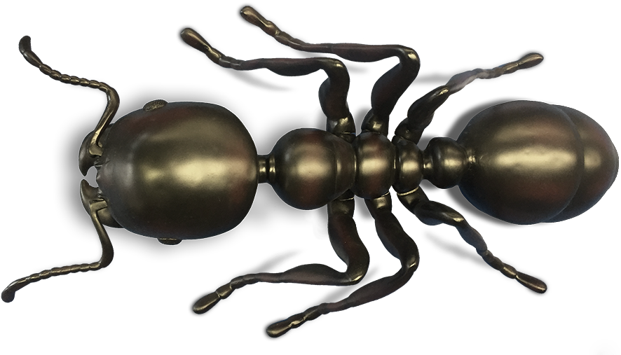 Giant Ant Model - Big Ant Model (960x521), Png Download