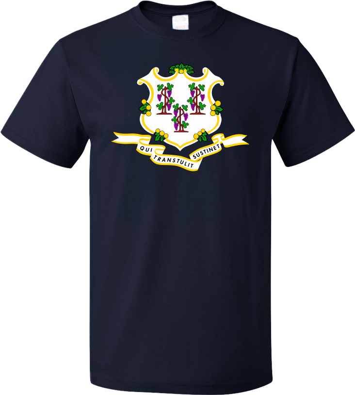 Standard Navy Connecticut State Flag - Shirt (804x1005), Png Download