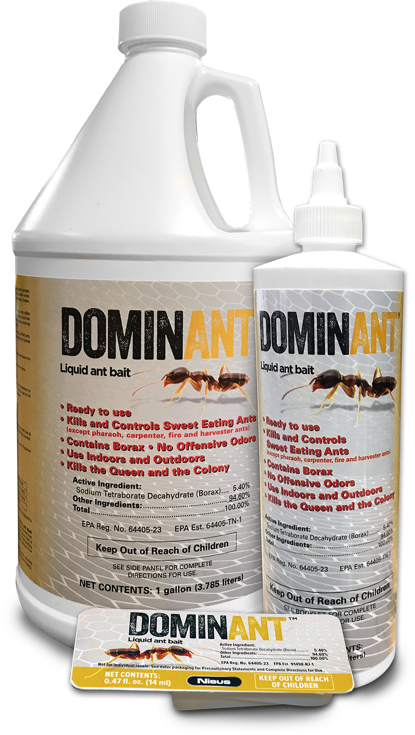 It Kills And Controls Most Common Household Ants And - Koi (1200x1662), Png Download