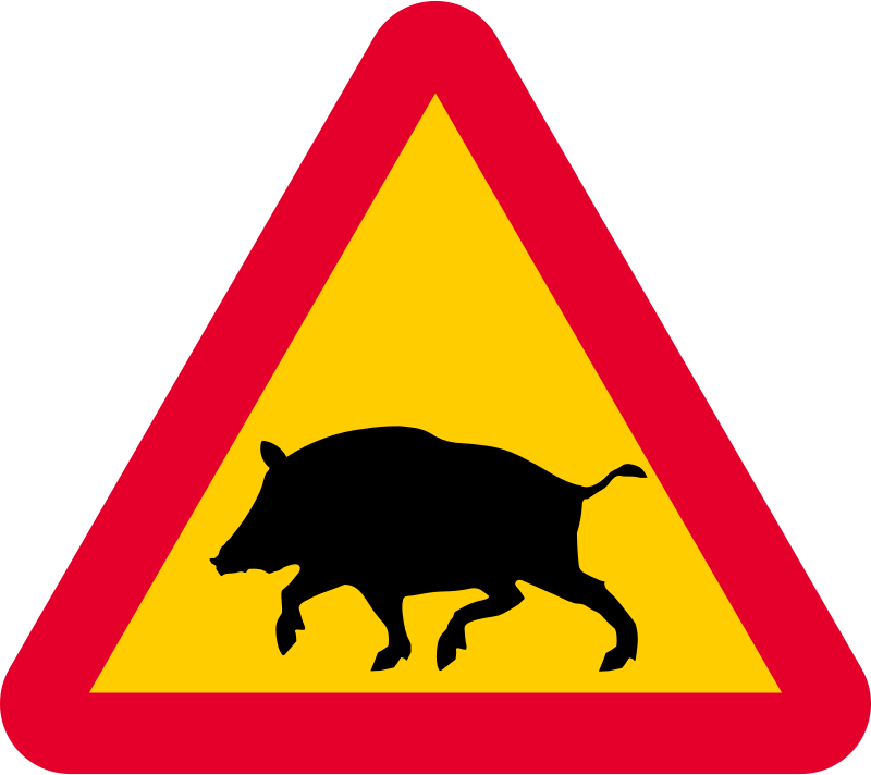 This Png File Is About Boar , A19 7 , Warning , Boars - Cross Road Ahead Sign (800x712), Png Download