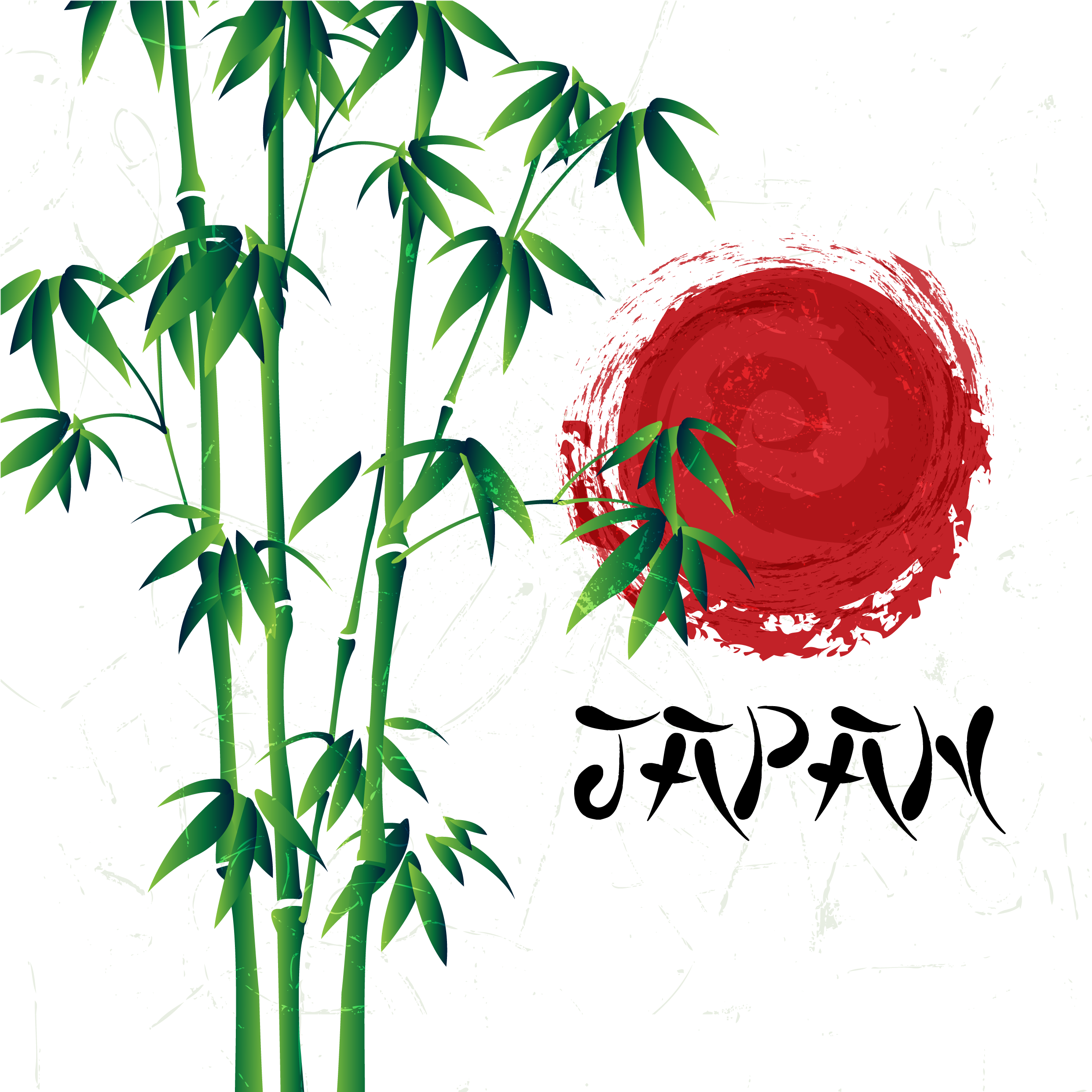 Adobe Painted Transprent Png Free Download Plant - Adobe Illustrator (2581x2750), Png Download