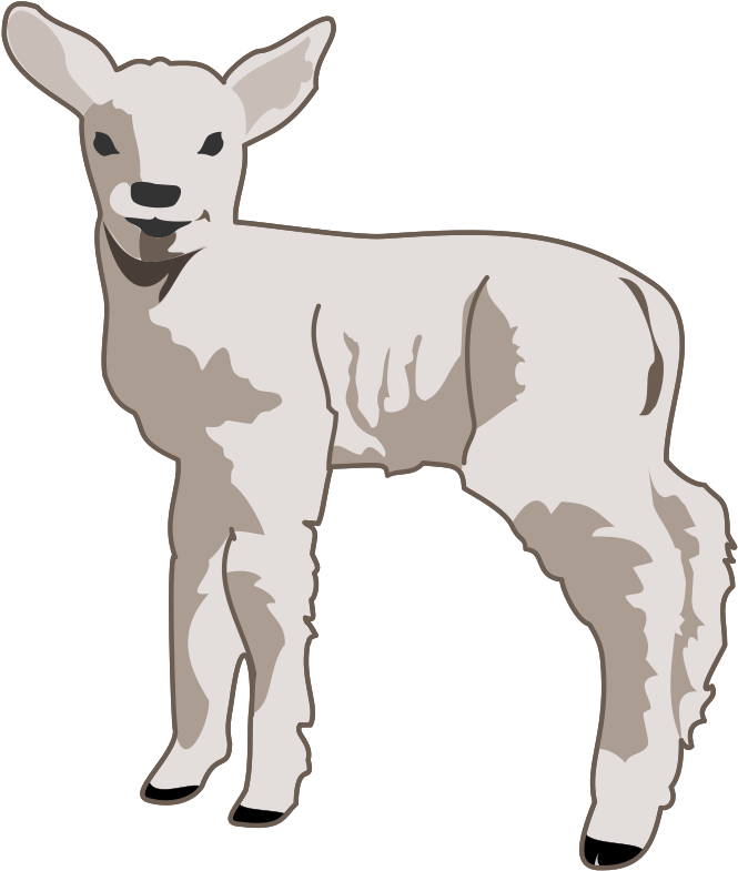 Medium Image - Lamb Clipart (676x800), Png Download