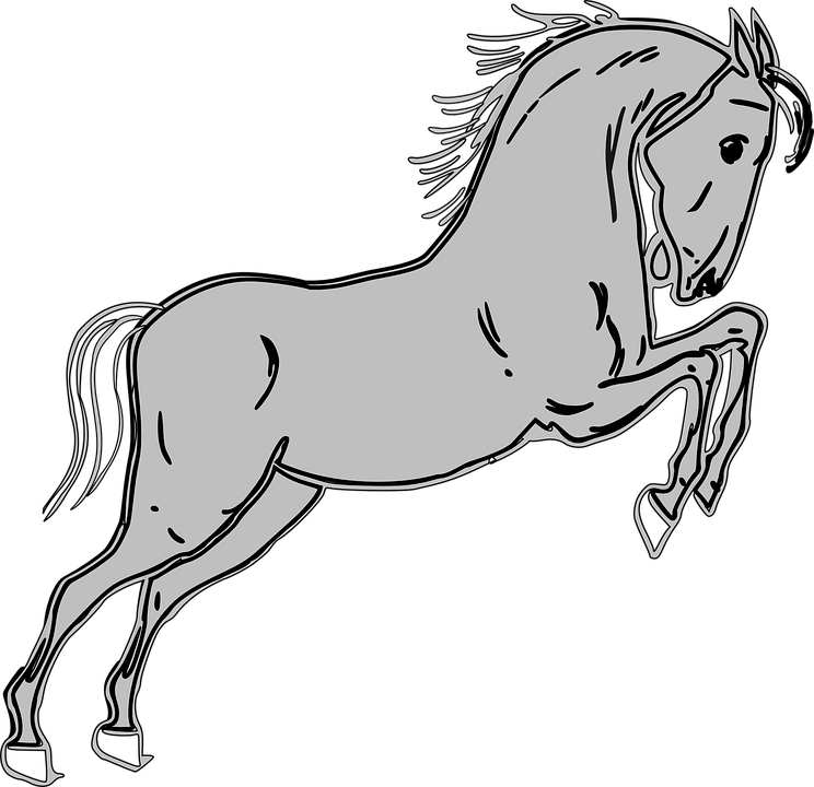 Pony Clipart Grey Horse - Clip Art Gray Horse (744x720), Png Download