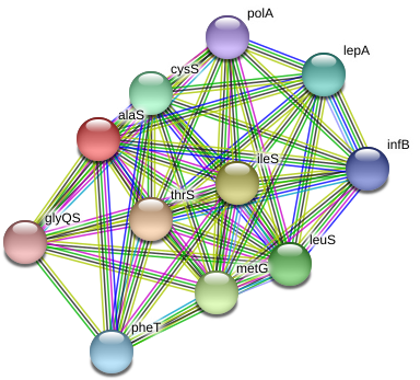 Alas Protein - Circle (975x382), Png Download