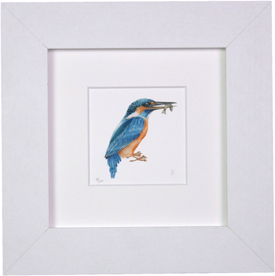 Western Meadowlark (1517x1517), Png Download