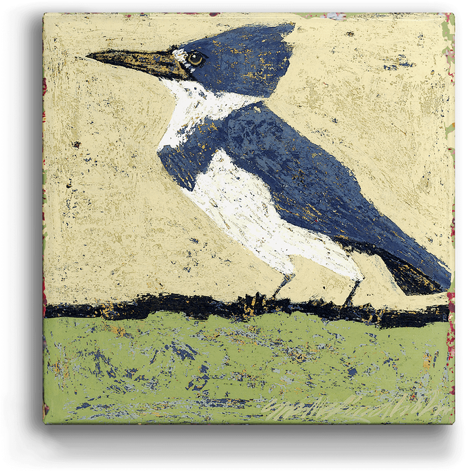 Belted Kingfisher (730x730), Png Download