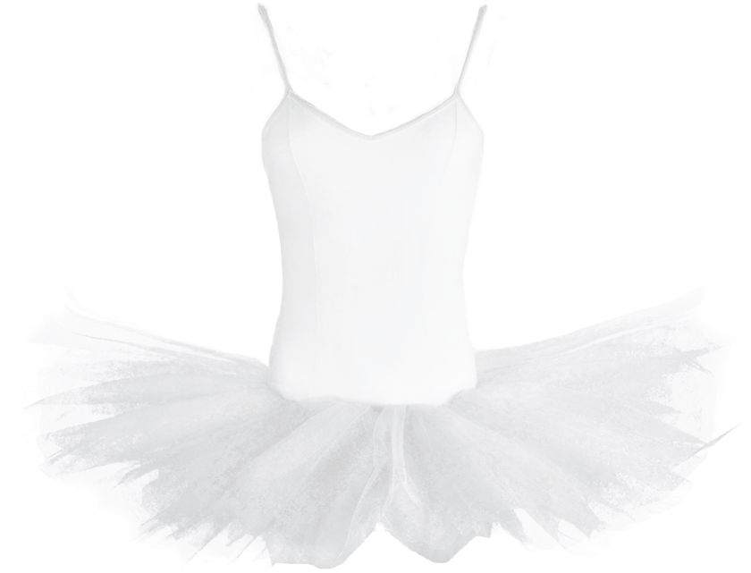 Repetto Ladies Platter Tutu With Bodice - Ballet Tutu (850x750), Png Download