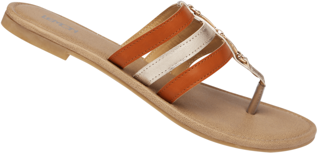 Womens Daily Wear Slipon Flat Chappal - Flip-flops (640x960), Png Download