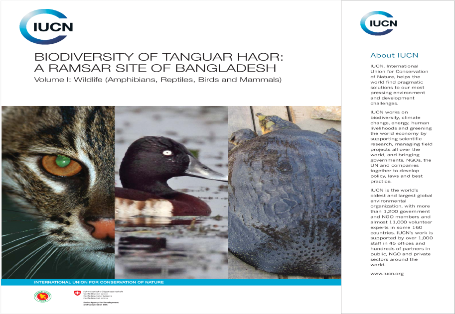 Redhead (1200x630), Png Download