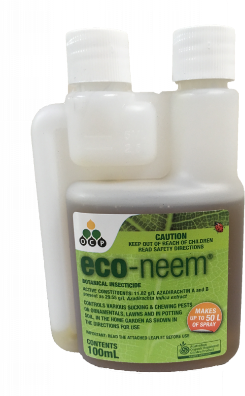 Click Image For Gallery - Insect (800x800), Png Download