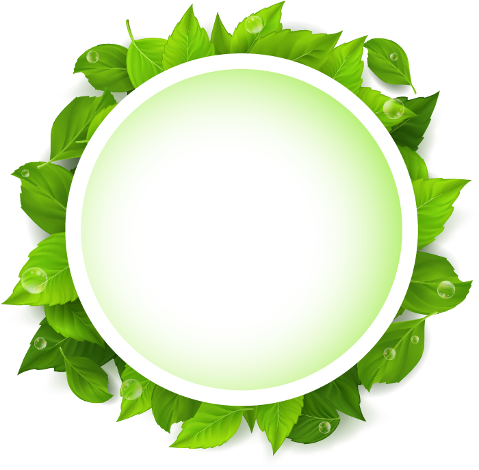 Plate Clipart Banana Leaf - Circle (723x698), Png Download