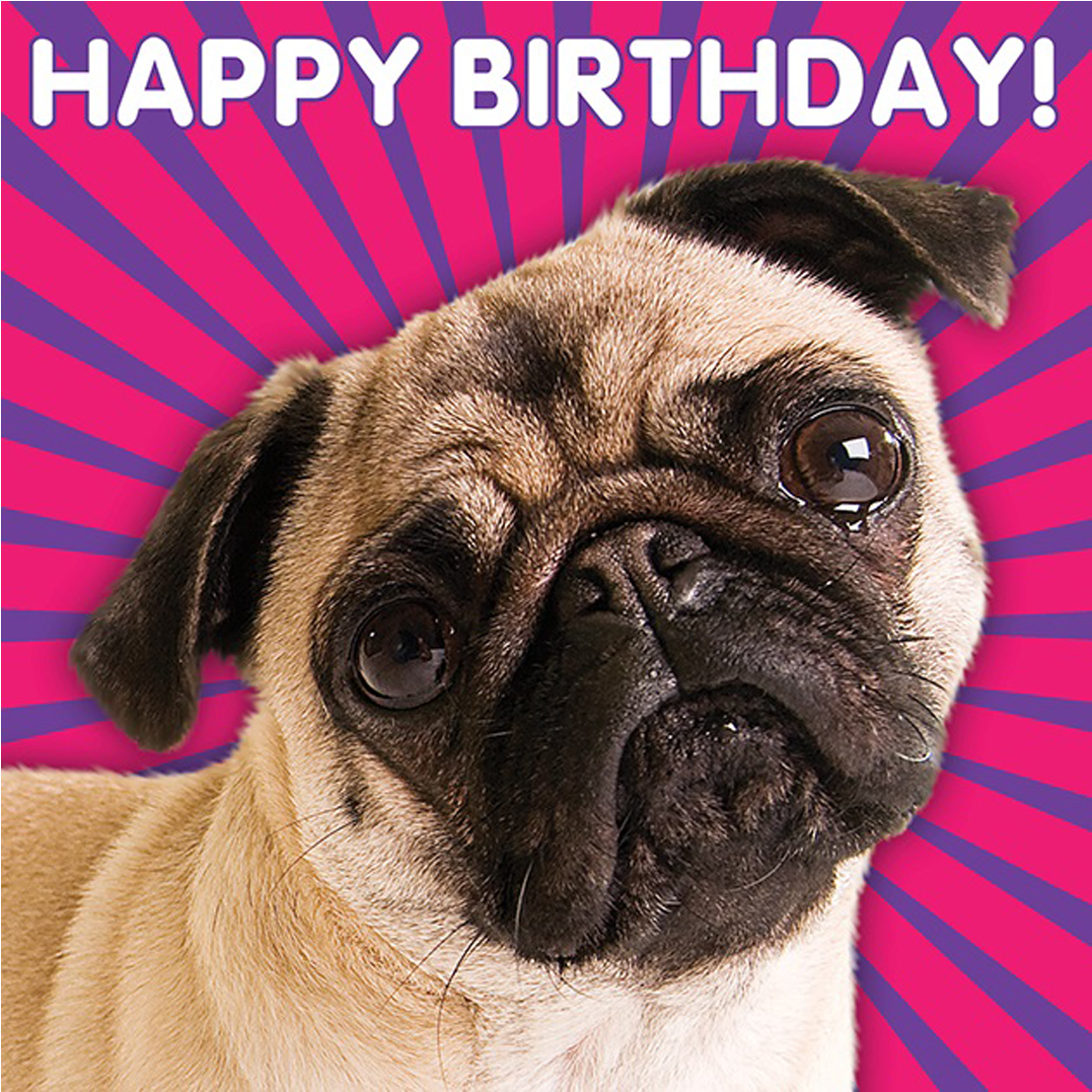 Pug 3d Happy Birthday Card - Pug (1240x1772), Png Download