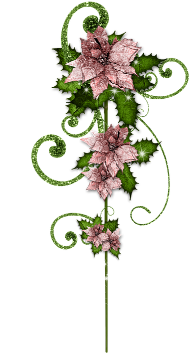 Christmas, Pousette, Christmas Star, Jewelry, Scenery - Artificial Flower (445x720), Png Download