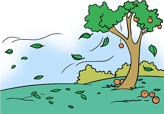 How To Draw Fall Scenery - Autumn Scenery Drawing Easy (680x678), Png Download