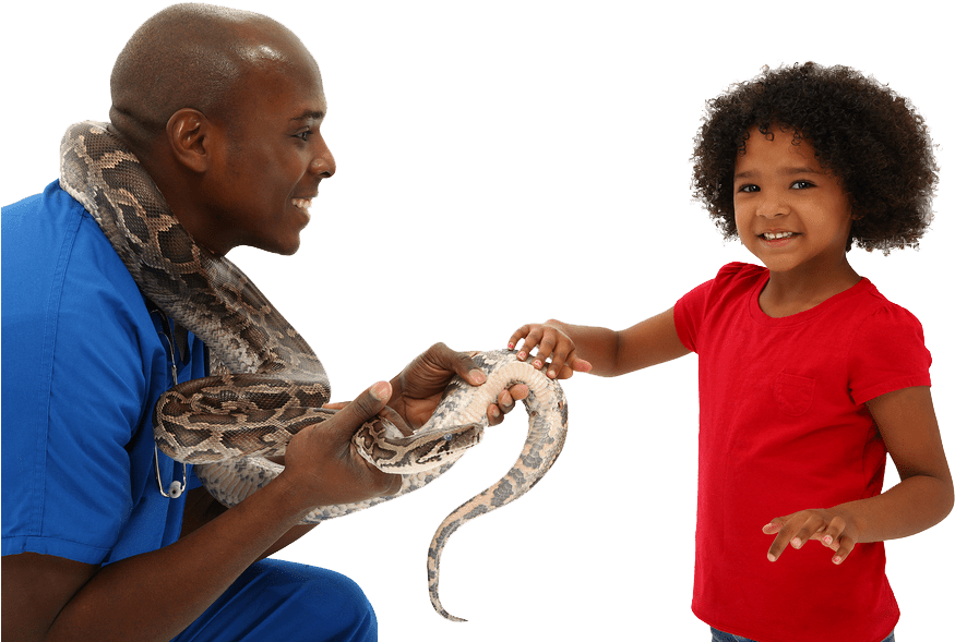 Home Vet Girl Welcome - Free African American Preschool (900x600), Png Download