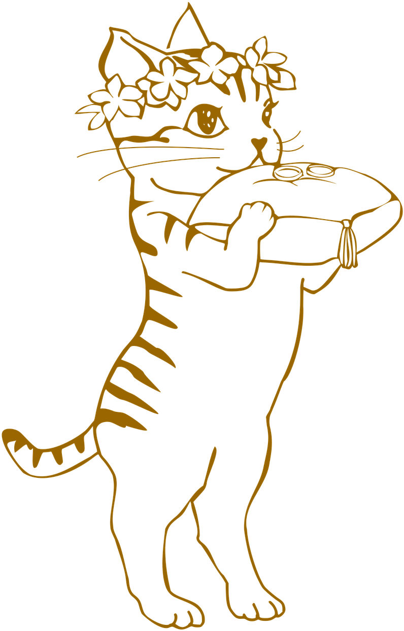 Cat Kids Wedding - Wedding (960x1280), Png Download