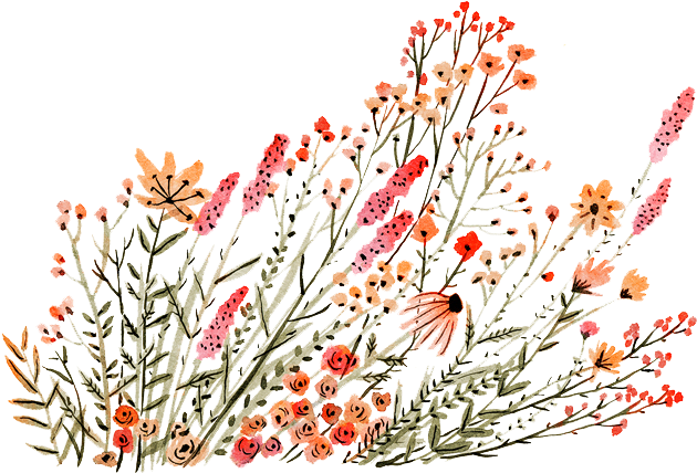 Floral Arrangements With A Soul To Beautify Each One - Dainty Flower Drawings (800x618), Png Download