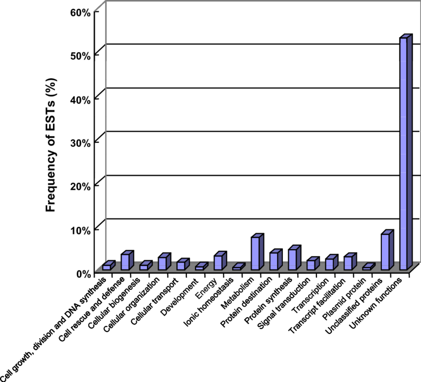Functional Categorization Of The Blast Results Of The - Diagram (850x771), Png Download