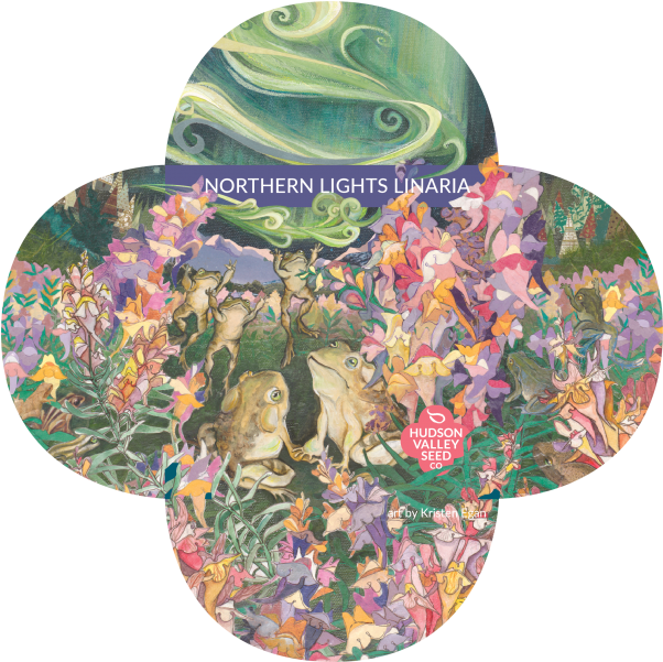 Northern Lights Linaria Quatrefoil - Floral Design (800x600), Png Download