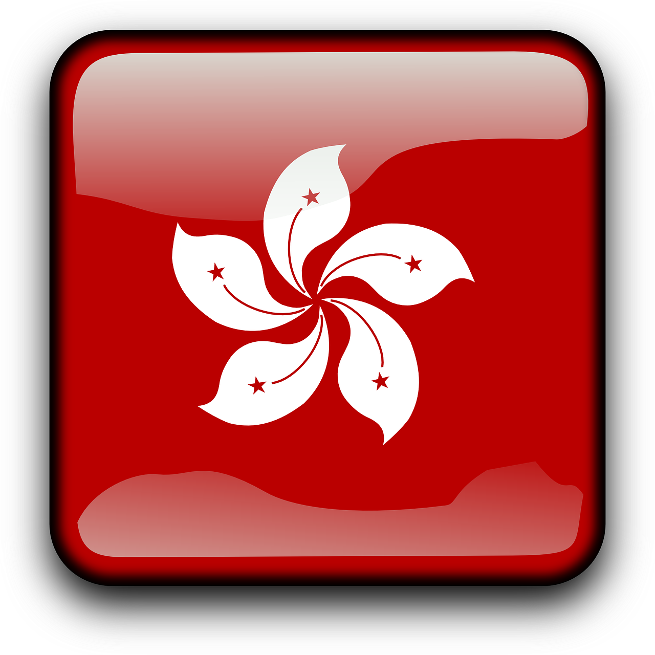 Hong Kong Facts (1280x1280), Png Download