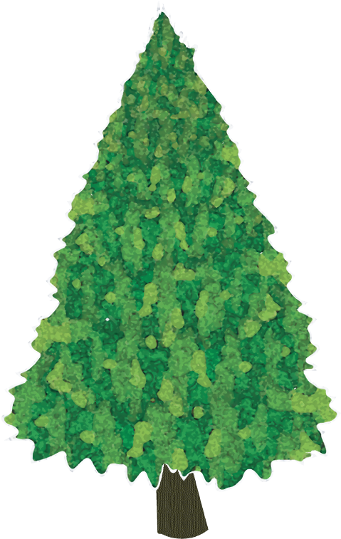 Tree - Christmas Tree (612x792), Png Download