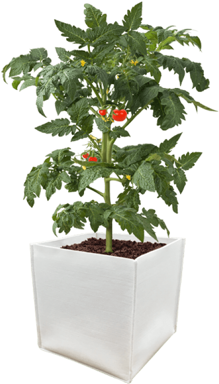 Durapot Grow Pot - Grow Vegetables Indoors (800x800), Png Download