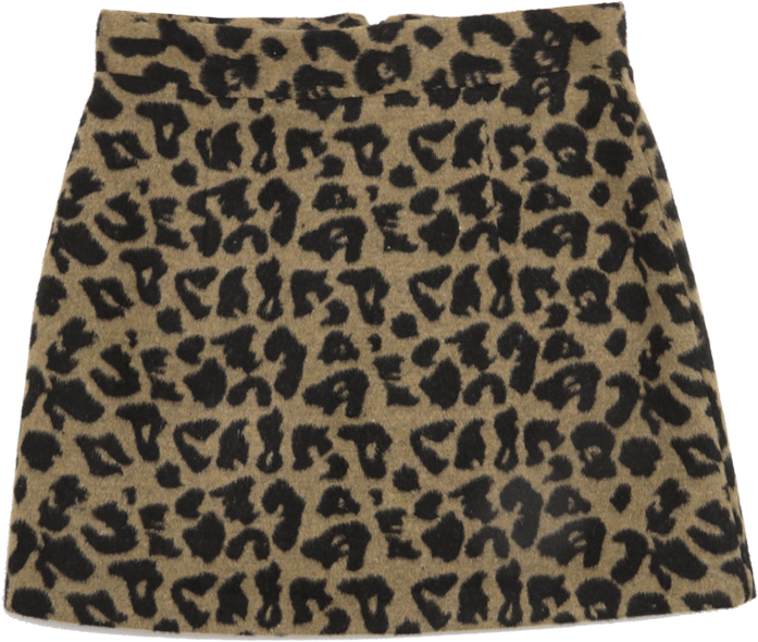 Leopard Print Back Zipper Mini Skirt By Stylenanda - Miniskirt (800x800), Png Download