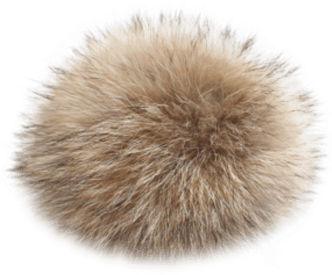 Coyote Fur Pom - Fur Clothing (683x1024), Png Download