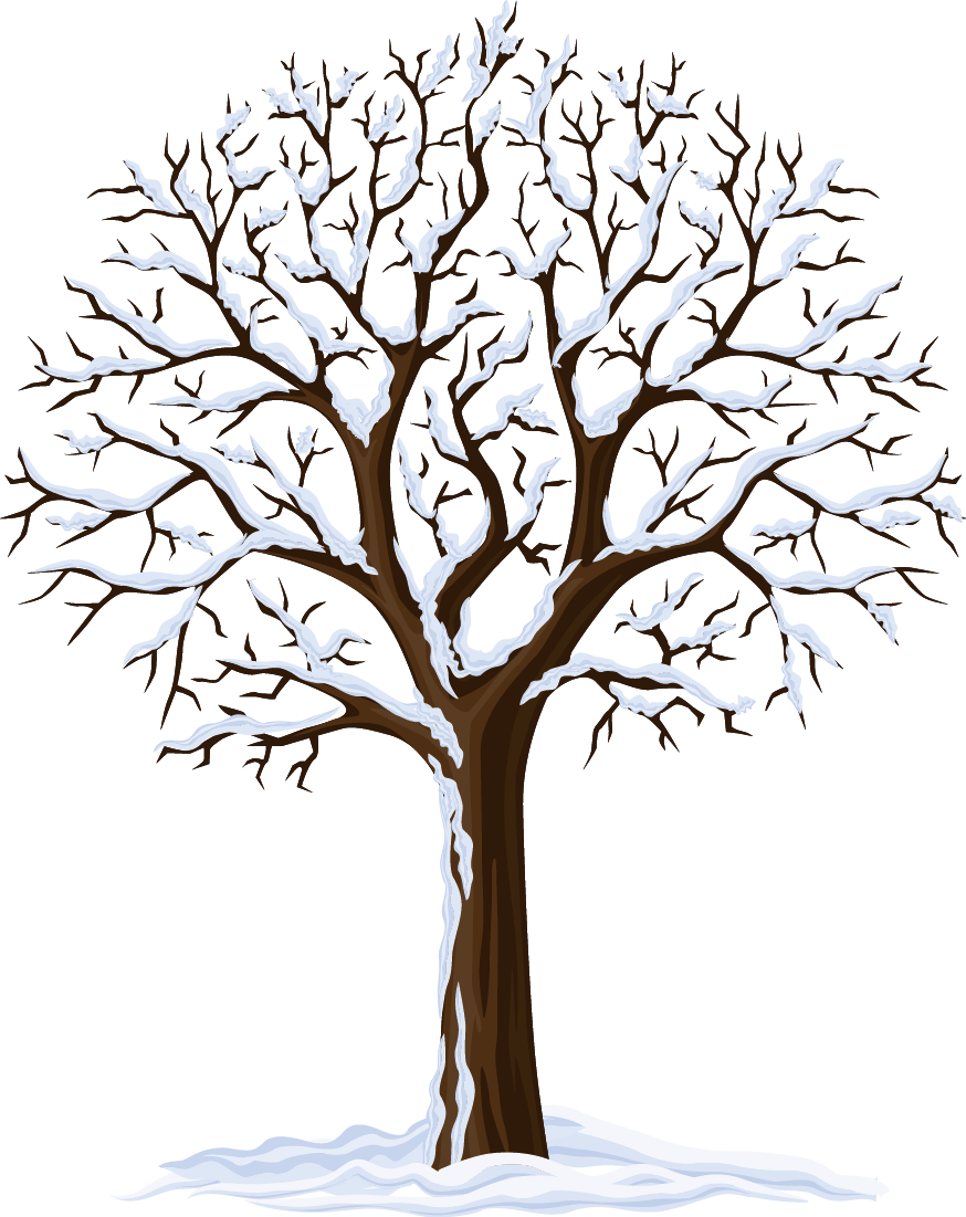 874 X 1101 5 0 - Four Season Tree Png (874x1101), Png Download