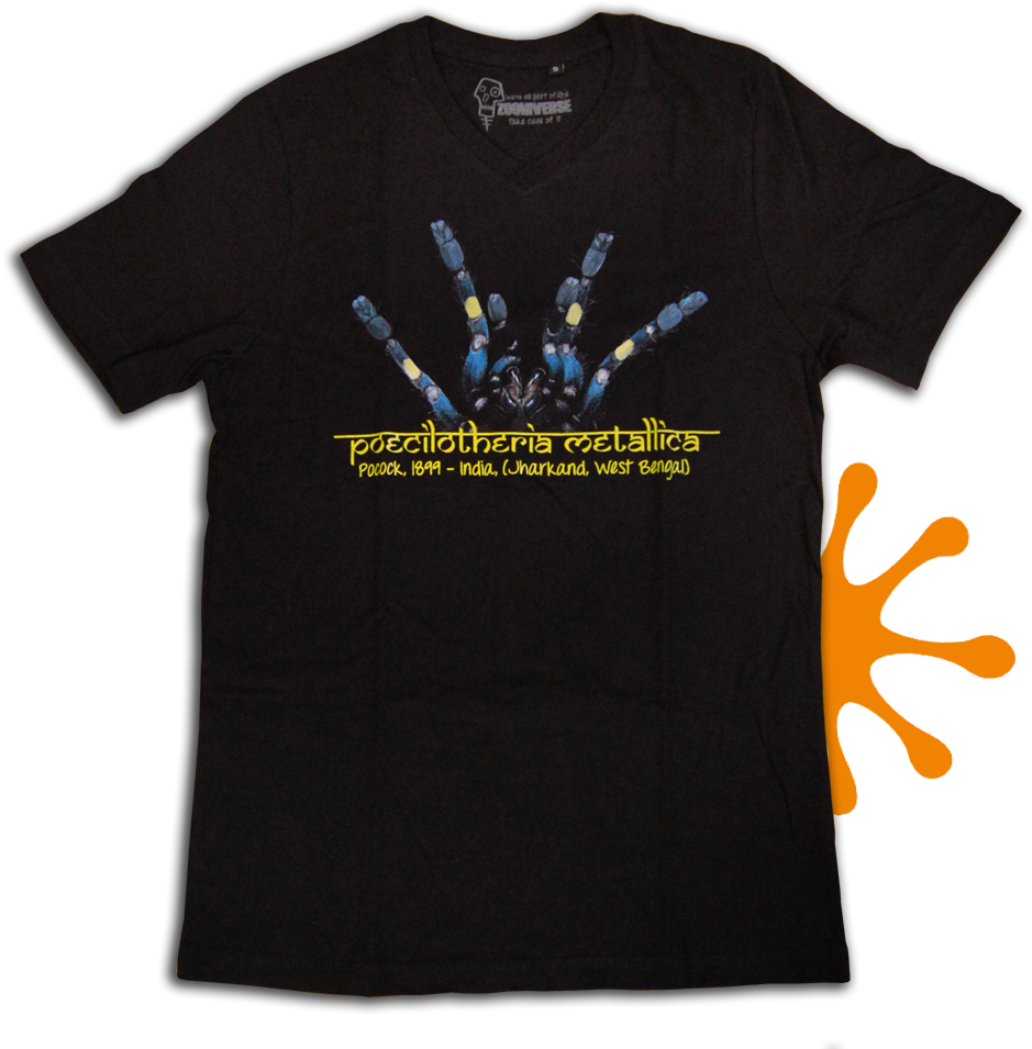 Poecilotheria Metallica - Active Shirt (1000x1000), Png Download