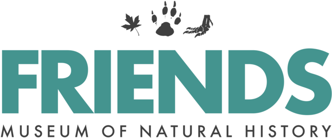 Friends Logo - Graphic Design (1000x583), Png Download